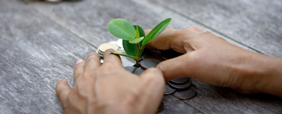 money planning